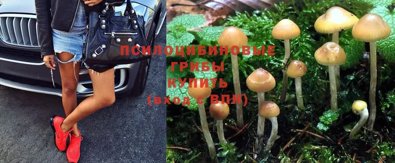 Галлюциногенные грибы Magic Shrooms  ОМГ ОМГ вход  Котельниково  закладка 